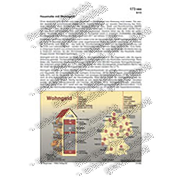 Haushalte mit Wohngeld