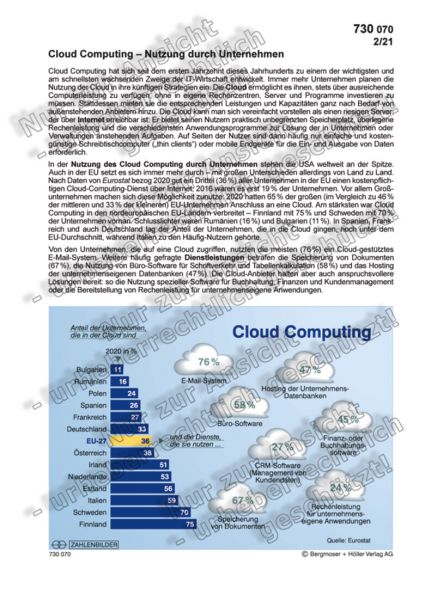 Cloud Computing - Nutzung durch Unternehmen