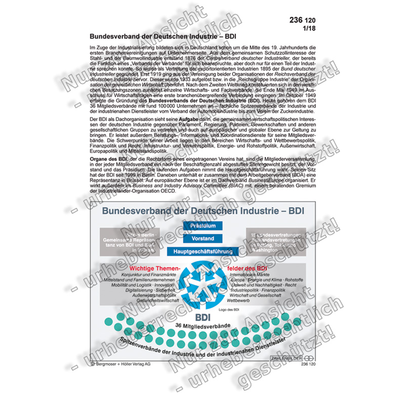 Bundesverband Der Deutschen Industrie - BDI | Verbände Und ...