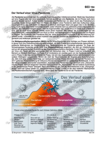 Der Verlauf einer Virus-Pandemie